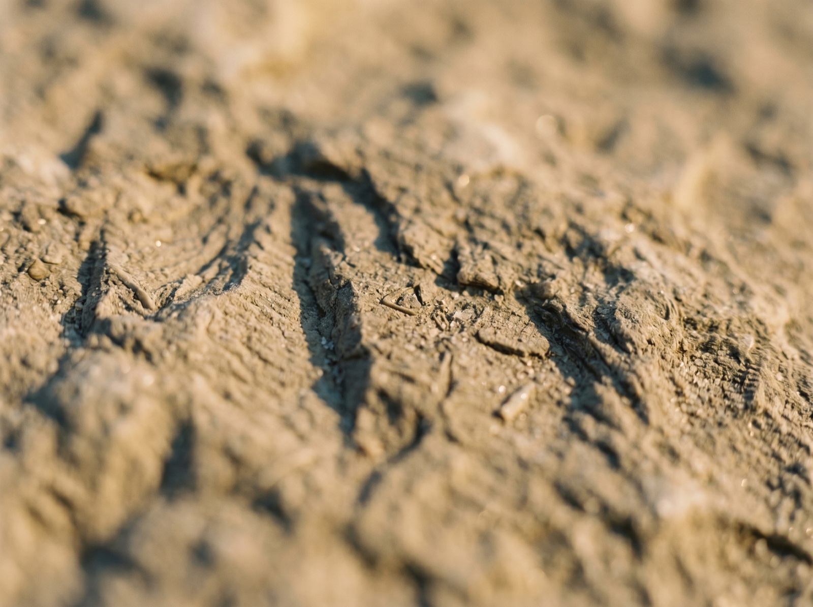 Macro detail of Sinies limestone from Mount Pantokrator.
