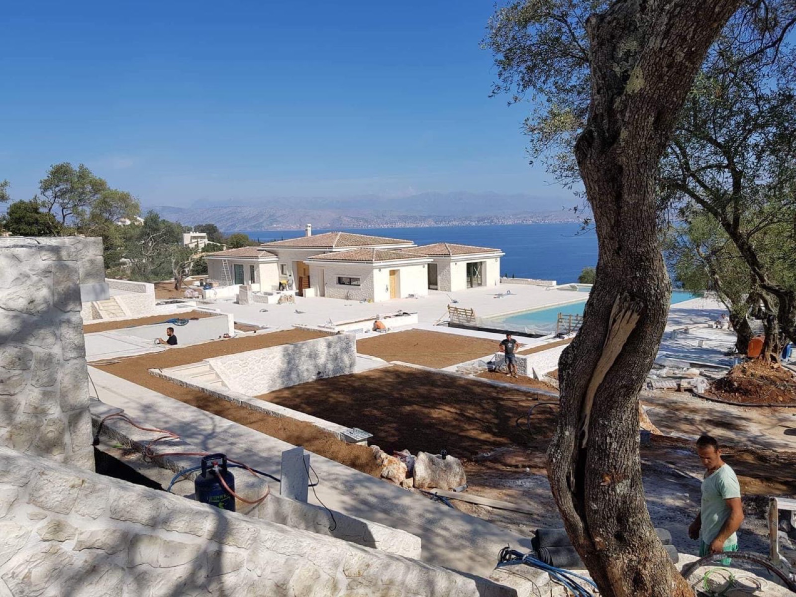 The rendered villa with its pool filled and terraces being prepared with topsoil, the sea and mountains behind an olive tree.