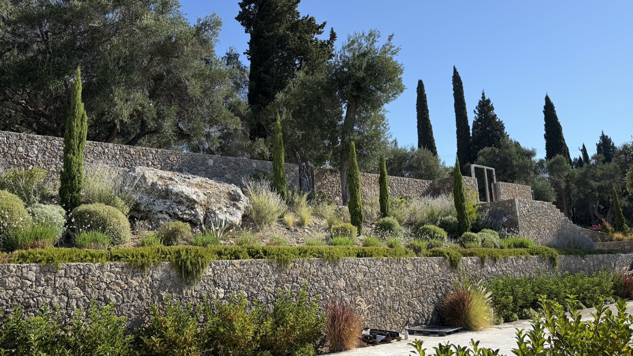 Battered honey-stone retaining walls terracing a hillside among mature olives and cypress, Villa No. 7, Corfu.