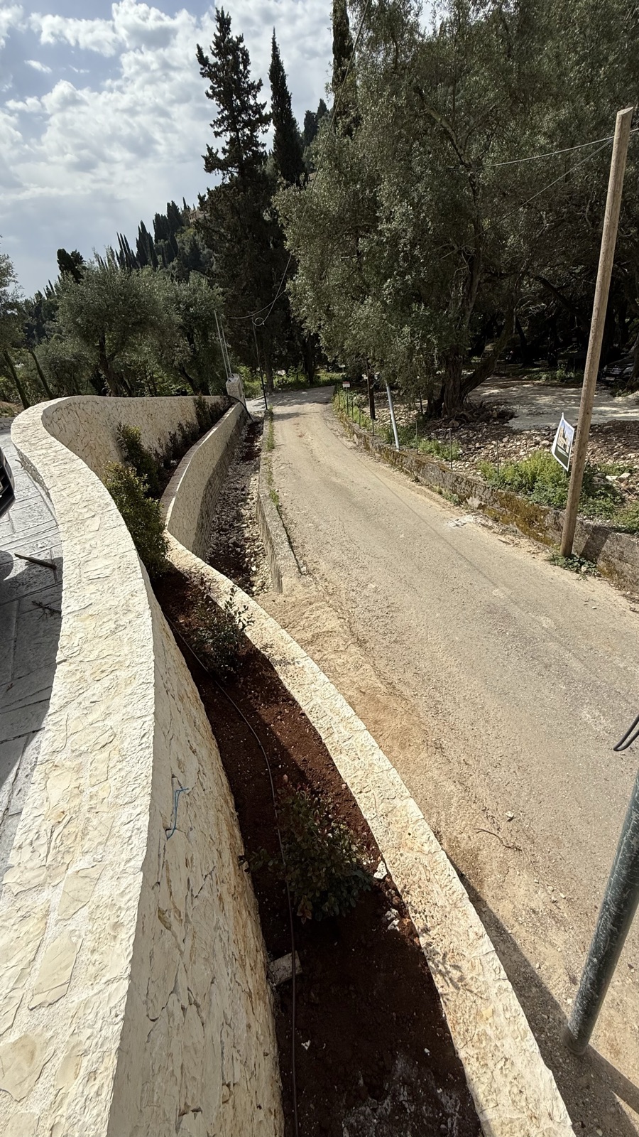 The curving stone boundary wall following the country road, a planting trench between the tiers and olive and cypress trees beyond.