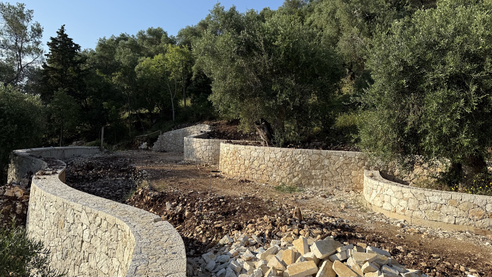 Serpentine pale limestone retaining walls curving up the hillside between olive trees, warm evening light raking the stone.