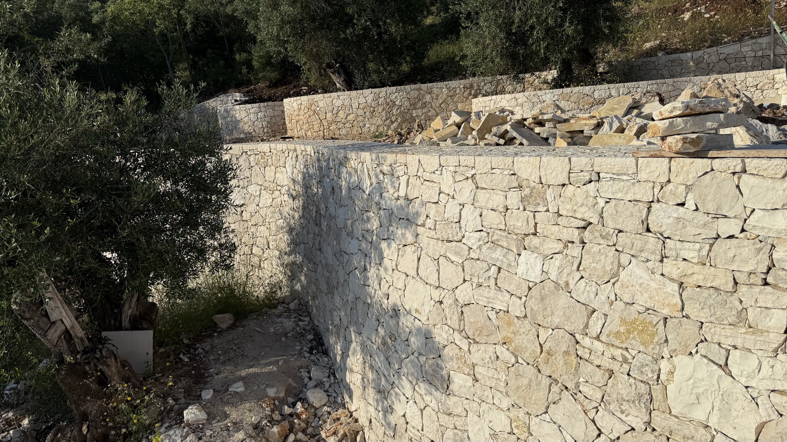 A freshly built limestone retaining wall showing its random rubble coursing, stone slabs stacked along the top, an olive tree at left.